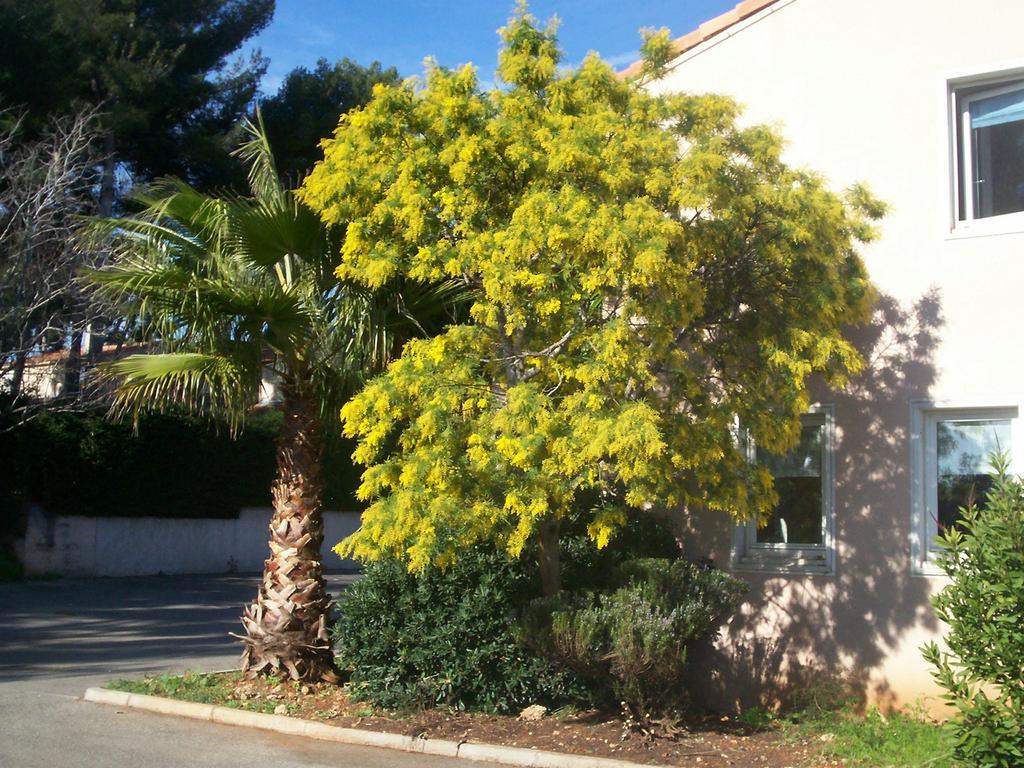 Stars Antibes Hotel Biot Ngoại thất bức ảnh